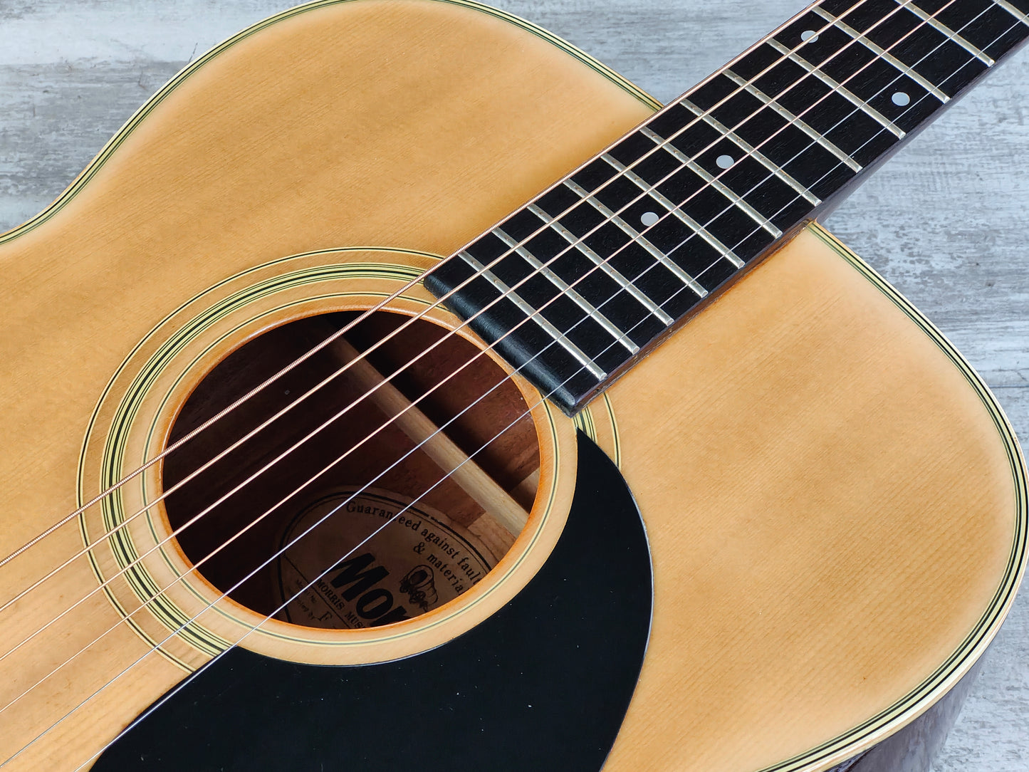 1980's Morris F-20 Japanese Vintage Acoustic Guitar (Natural)