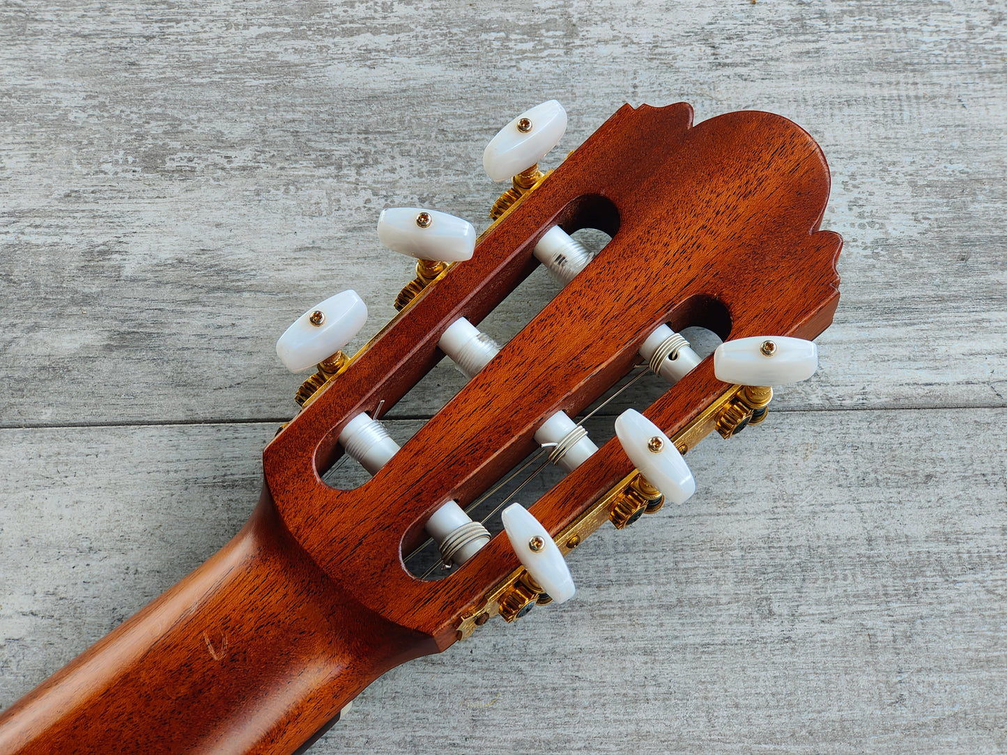 Yukinobu Chai No.8 Concert Classical Guitar (Made in Japan)