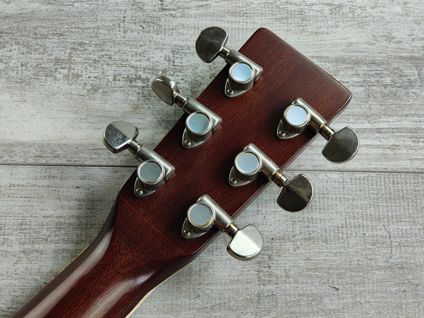 1980's Tokai Cat's Eyes CE-350 Japanese Vintage Acoustic Guitar (Sunburst)