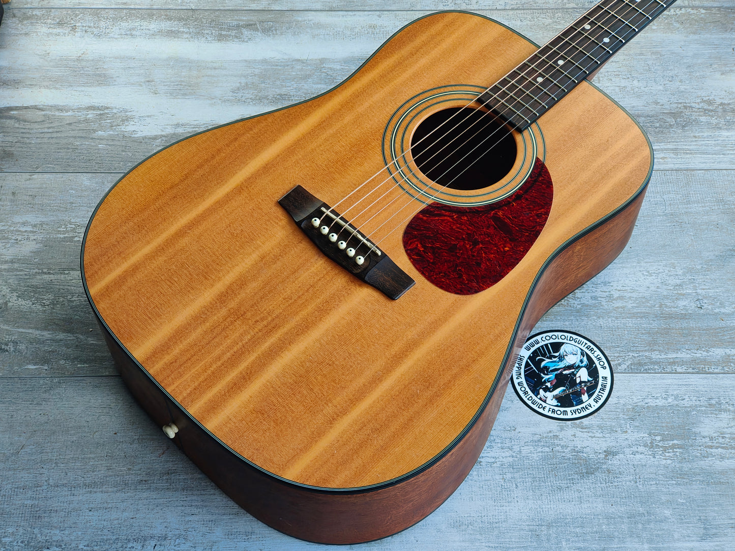 2009 Cort Earth60 NS Dreadnought Acoustic