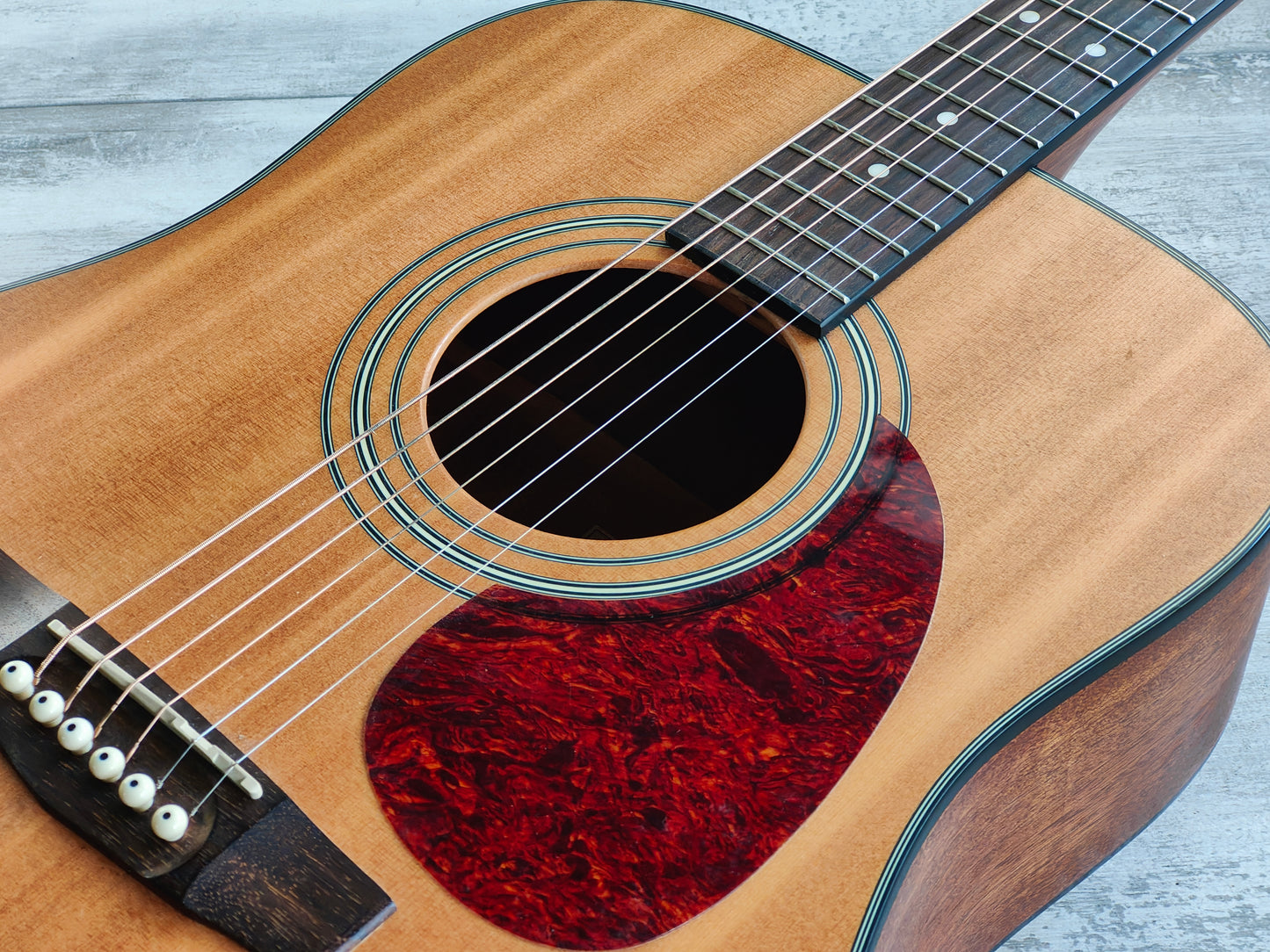 2009 Cort Earth60 NS Dreadnought Acoustic