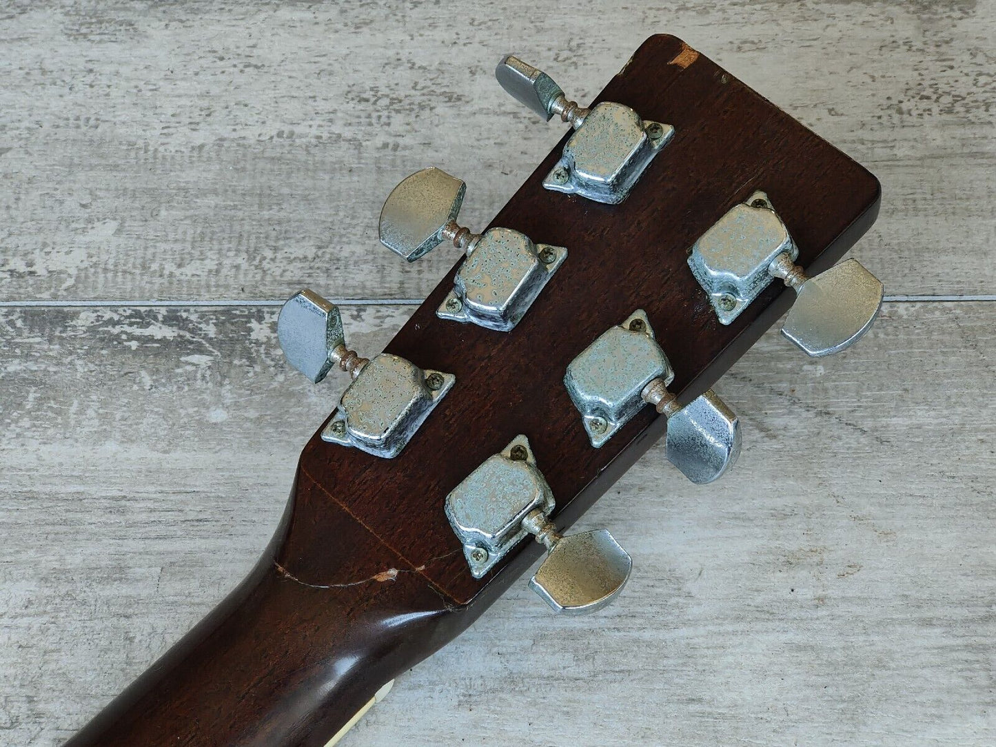 1980's Tokai Cat's Eyes CE-200 Japanese Vintage Acoustic Guitar (Natural)