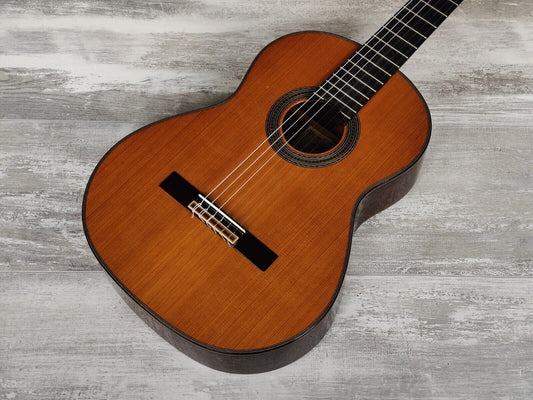 2012 Aria A-100C Guitar (Solid Cedar/Rosewood)